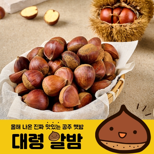 나주로농산 자연진리 23년 공주 정안 햇밤 대령 알밤 대/특 1kg 2kg 3kg 4kg