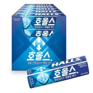 호올스  스틱 27.9g 20개 멘토립터스