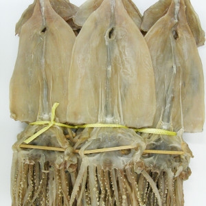 건어물천국  마른오징어 2.5kg 20미 왕특대 건조오징어