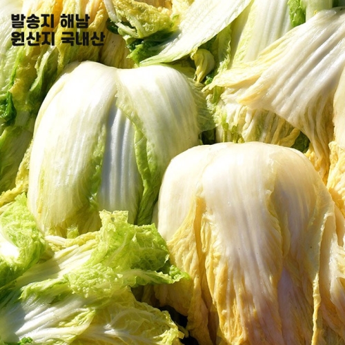 싱싱유통  해남 절임배추 20kg/평일 오전 8시 이전 까지 공휴일 제외