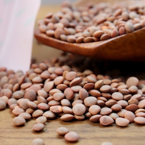 허브나래  렌틸콩 브라운 잡곡 슈퍼푸드 콩 1kg+1kg 캐나다산