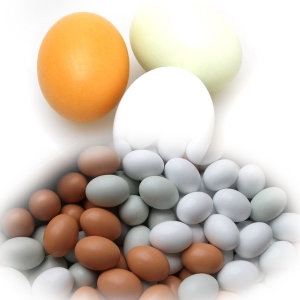 의란 모형란 가짜알 모형달걀 모형계란 가짜계란