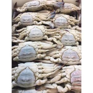 게파는언니  급냉 연평도 암꽃게 5kg