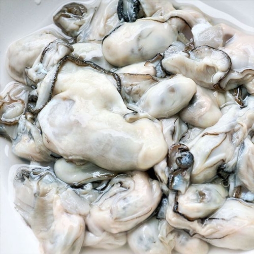 자연맛남  국내산 통영 최상급 생굴 2kg 1개