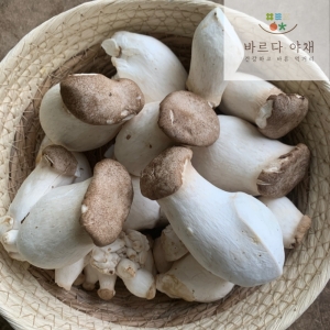 바르다야채  국산 못난이 미니새송이 벌크 대용량 가정용 업소용 4kg