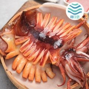해다원  해를품은 반건조오징어 왕특대5미
