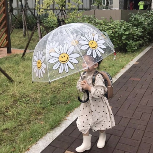 데이지 유아투명우산 안전 창 돔형 아동 어린이우산