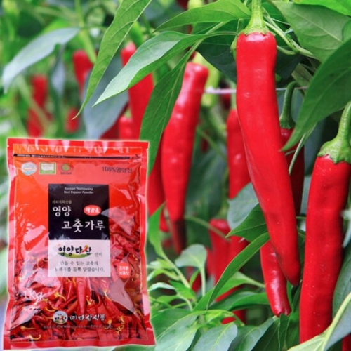 다산식품 24년 경북영양 태양초 햇 고춧가루 조미용 보통맛 500g