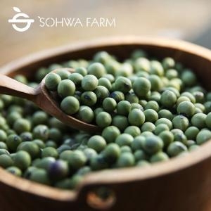 소화농장 청태1kg 청서리태 청대