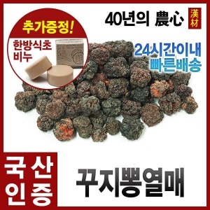 자애인  국산 꾸지뽕 열매 300g