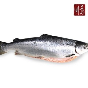 바른씨  노르웨이 생연어 한마리 손질(반마리 2개+연어머리+갈비뼈) 2kg