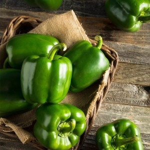 산정마을  싱싱한 피망 청피망 2kg