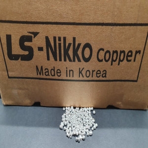 LSMnM  은 그래뉼 10g