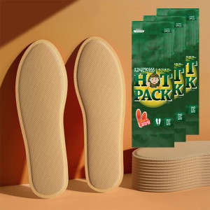 바이온  레츠고 깔창형 발열 핫팩 1켤레
