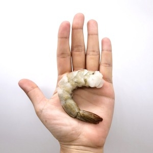 프리미어  생 칵테일 새우 감바스 깐쇼새우 900g