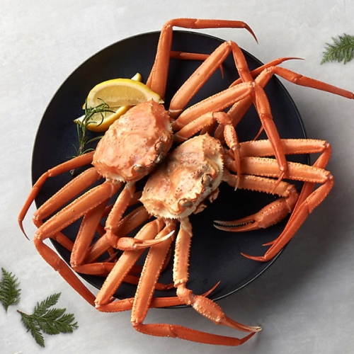 작심밀도 구룡포직송 육수용 연지홍게 5kg 14-16미 내외/자숙 찜 - 에누리 가격비교
