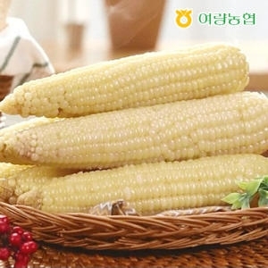 여량농협  정선 냉동 찰옥수수