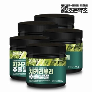 조은약초 치커리 뿌리 추출물 100% 분말 가루 300g