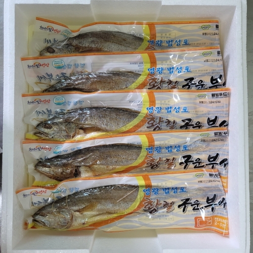 영광굴비  황칠 소금으로 간질한 구운 보리굴비 법성포 부세 특대 10미 단품