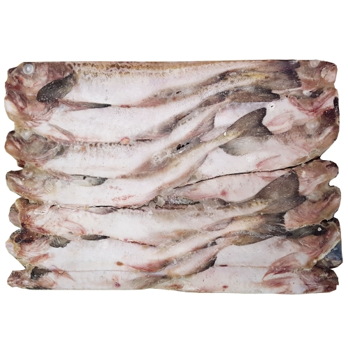 조은상사  명태21.5kg1박스 5통20마리 7통28마리 동태 코다리 선동명태 1박스 동태5통 21.5kg1박스