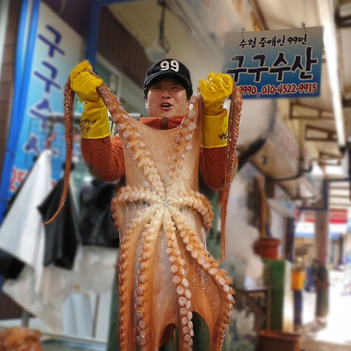 구구수산  포항 수협지정중매인 자숙 참문어 2.5kg