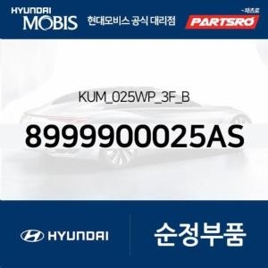 현대모비스  KUM_025WP_3F_B 8999900025AS