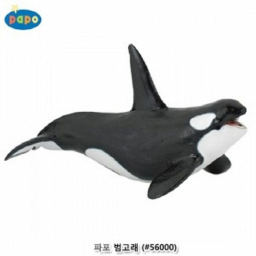 범고래 (56000)