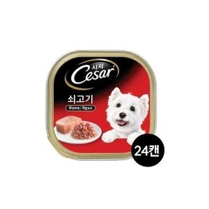 마스 시저 쇠고기 100g 24캔/ 139017