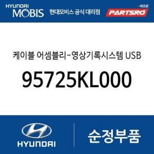 현대모비스  케이블-영상기록시스템 USB 95725KL000 아이오닉6