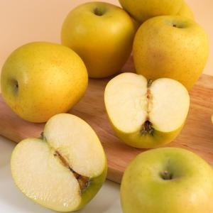 더조은푸드  황금사과 시나노골드 가정용 14-16과(개) 2kg