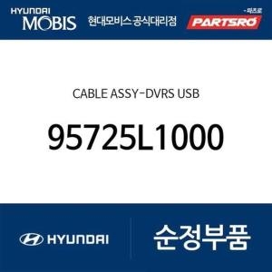 현대모비스  케이블-영상기록시스템 USB 95725L1000 쏘나타 DN8 쏘나타 DN8 하이브리드