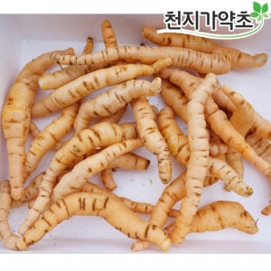 충남금산  생지황 복령가루 생지황 지황