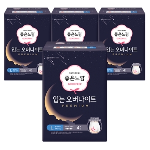 좋은느낌 입는 오버나이트 프리미엄 대형 4개