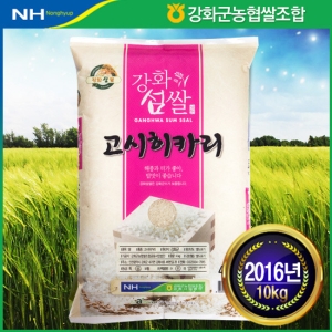 강화농협 2016 강화섬쌀 고시히카리 10kg [1개]