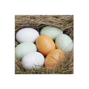 가짜알   부활절달걀 구운계란 맥반석계란 의란