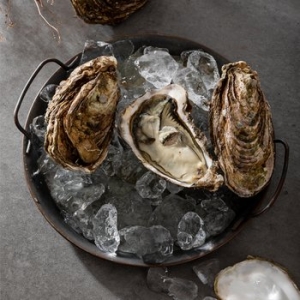 참다올  통영굴 삼배굴(개채굴) 3-5미 1kg