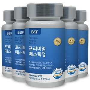 BSF 프리미엄 매스틱정 600mg 90정