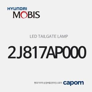 모하비 현대모비스 LED 테일게이트 램프 2J817AP000 벨로스터
