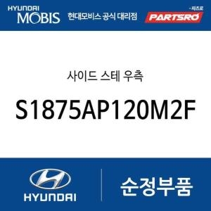 현대모비스 사이드 스테 우측 S1875AP120M2F 더뉴 싼타페 싼타페 하이브리드