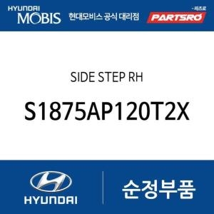 현대모비스 사이드 스테 우측 S1875AP120T2X 더뉴 싼타페 TM 싼타페 TM 하이브리드