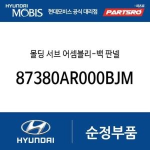 제네시스  현대모비스 몰딩 서브-백 판넬 87380AR000BJM GV70 GV70 전기차