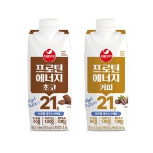 서울우유 프로틴 에너지 초코 240ml
