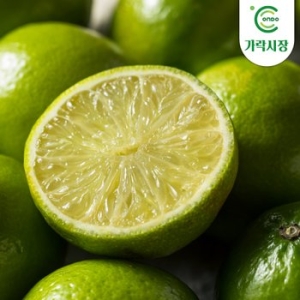 온도씨  가락시장 경매 생라임 개당 약