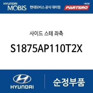 현대모비스 사이드 스테 좌측 S1875AP110T2X 더뉴 싼타페 싼타페 하이브리드