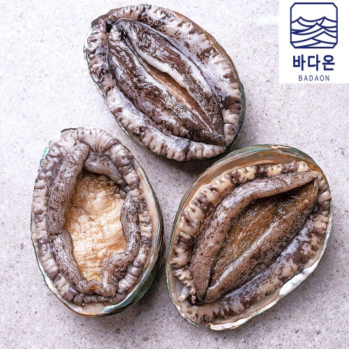 바다온  완도활전복 8-9미 1kg 마리당110g내외