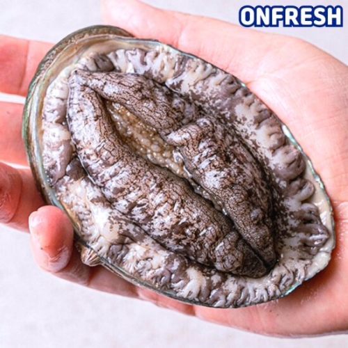 바다온  완도활전복 8~9미 1kg