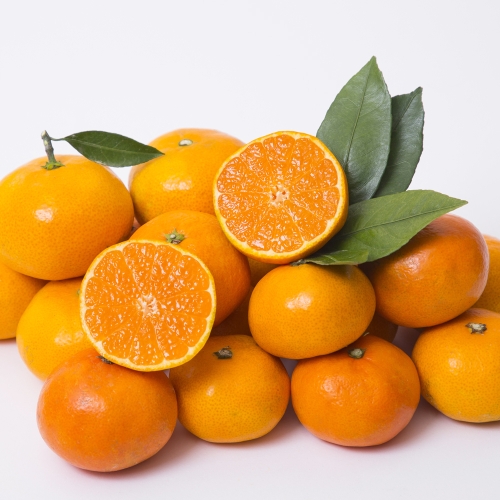 초록자연  레드향 11~13과 5kg