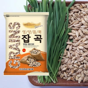 삼원농산  겉보리 새싹보리씨앗 3kg
