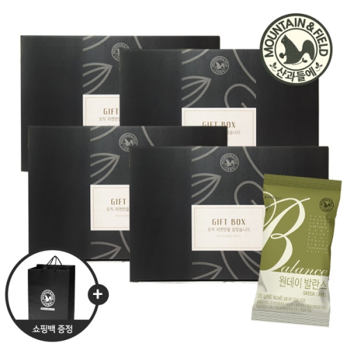 산과들에  실속 하루견과류 원데이발란스그린 50봉 x4개 선물세트