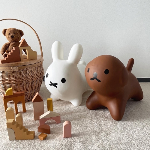 강아지 점핑볼 호핑볼 통통볼